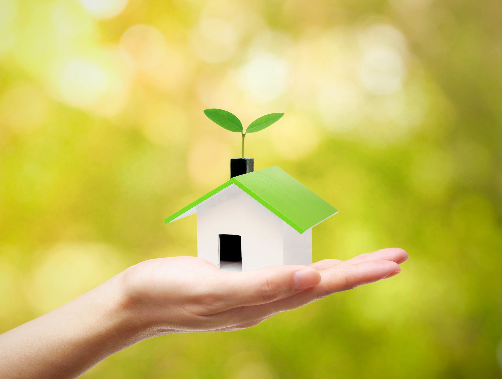 Sustainable Property Management: Eco-Friendly Practices for Commercial Properties