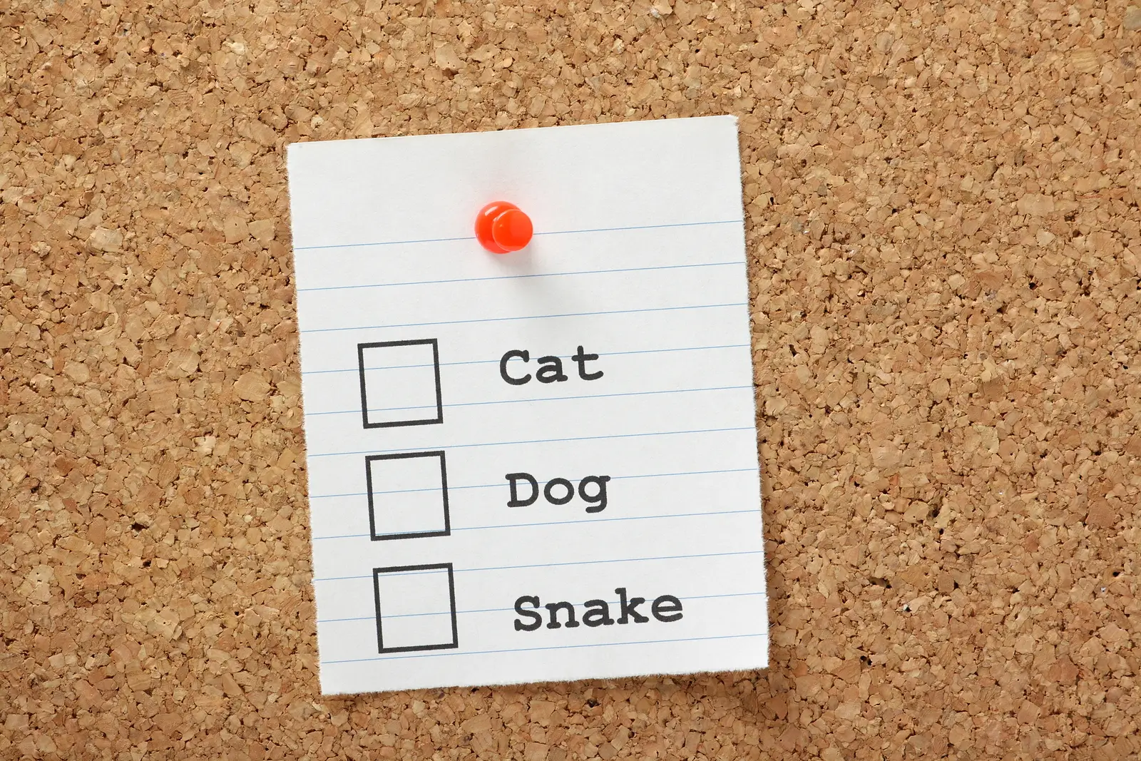 Unusual Pet Requests in Redmond OR Rentals and How to Handle Them